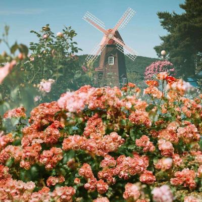 kaiyun体育全站截图