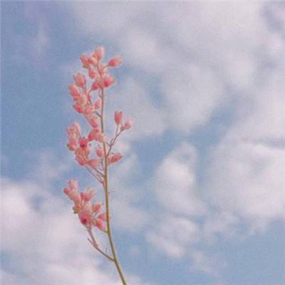 爱游戏综合官方网站App下载