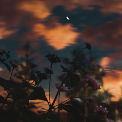 金博宝手机app下载