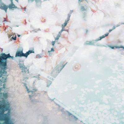 金博宝手机app下载